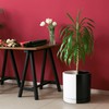 D'vine Dev 10 Inch Ceramic Planter Pot with Drainage Hole