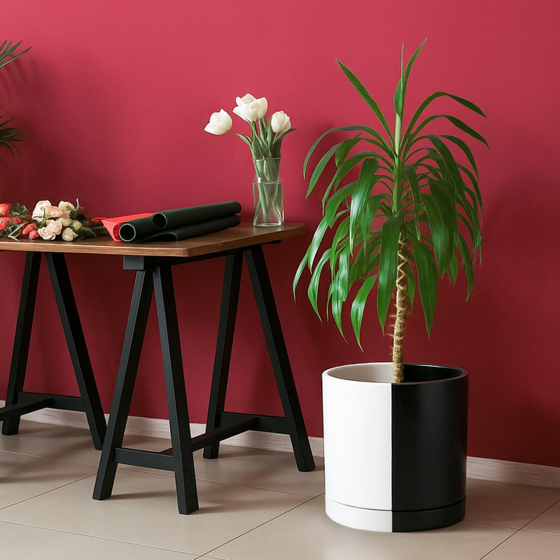 D'vine Dev 10 Inch Ceramic Planter Pot with Drainage Hole