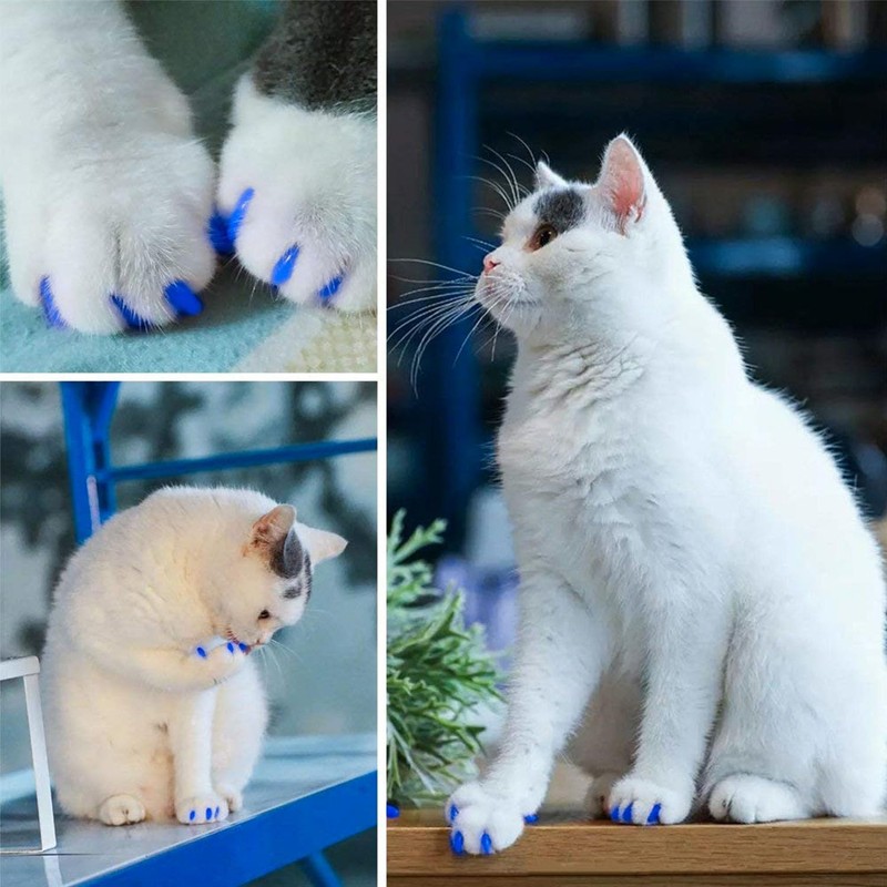 VICTHY 100pcs Boy Cat Nail Caps | Cat Nail Covers