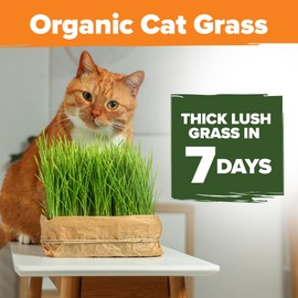 HOME GROWN Organic Cat-Grass Seed Mix (Oat & Barley) – 4 oz – Easy Indoor Planter