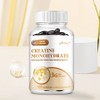 Creatine Monohydrate (Micronised) 3000mg - Supports Energy and Endurance, 3 Count, 120 Tablets / 크레아틴 모노하이드레이트(미분화) 3000mg - 에너지 및 지구력 향상 지원, 3개, 120정