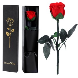 Eternal Infinity Rose Red with Stem, Gifts for Women, Eternal Rose in Gift Box, Preserved Flower for Mum, Girlfriend, Birthday Gift, Anniversary Gift, Woman (Red)