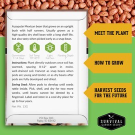 Pinto Bean Seeds for Planting - 5 Packets with Instructions for Growing Mottled/Peruano Beans in The Home Vegetable Garden - Non-GMO Open-Pollinated Heirloom & Untreated - Survival Garden Seeds