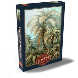 MyPuzzle Ferns (Filicinae) - Art Forms in Nature, Vintage Art Poster, Ernst Haeckel - Premium 1000 Piece Puzzle - MyPuzzle Special Collection by Havana Puzzle Company