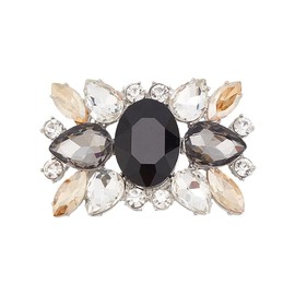 DELORIGIN 1 Pair Rhinestone Crystal Shoe Clips Wedding Party Prom Black Shoe Clips Buckles Decorations Elegant Women Heels Charms Beaded for Craft Jewelry Lady Heels Clothing Bags Hats Dress Decor