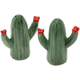 Boston International Salt and Pepper Shakers Everyday Ceramic Serveware, Set of 2, Cactus Bloom