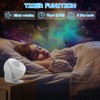 Planetarium Star Projector, 3 in 1 LED Galaxy Projector Light