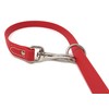 Regal Dog Products Waterproof Leash – 5 ft. Red Dog