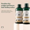 The Body Shop Ginger Scalp Care Conditioner 250ml