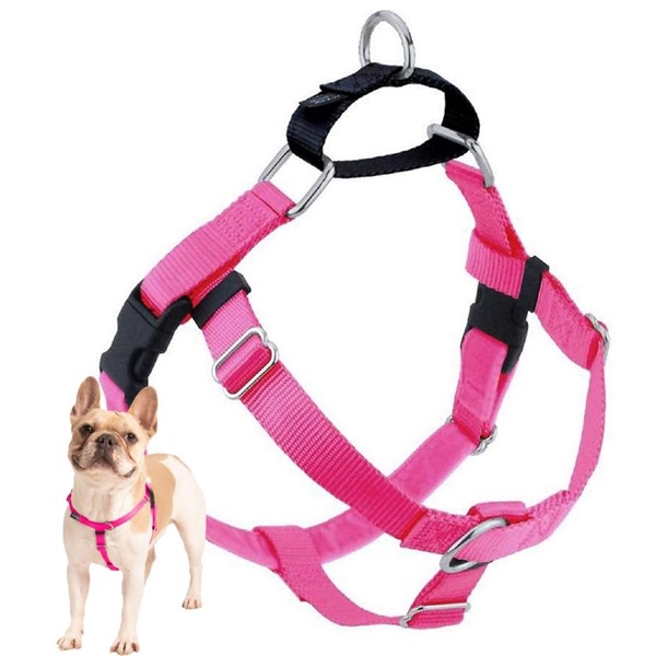 2 Hounds Design Freedom No Pull Dog Harness | Adjustable