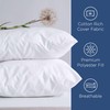 Martex 2-Pack Queen Pillows - Hotel Quality - Cozy Premium
