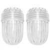 Xhziy 2PCS Flower Tea Ball Fruit Infuser Insert Transparent Tea