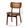 Baxton Studio Tafari Dining Chairs, Set of 2, Walnut Brown/Light