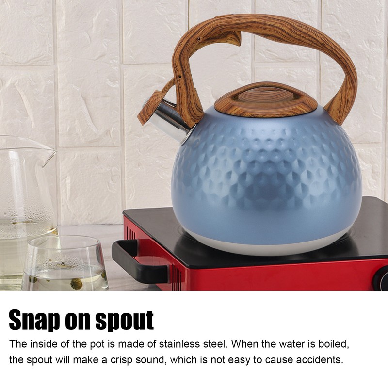 3 Liter Whistling Tea Kettle Stainless Steel Teapot with Handle