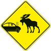 Car Crash and Moose Graphic Sign, 24x24 Inches, Rust Free