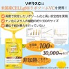 リポソーム ビタミンC 100% 30,000mg 30～120日分 アメリカ製原料 リポソーム ビタミンC D 高濃度