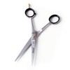 DS1 - Barber Scissors (6.5 inch)