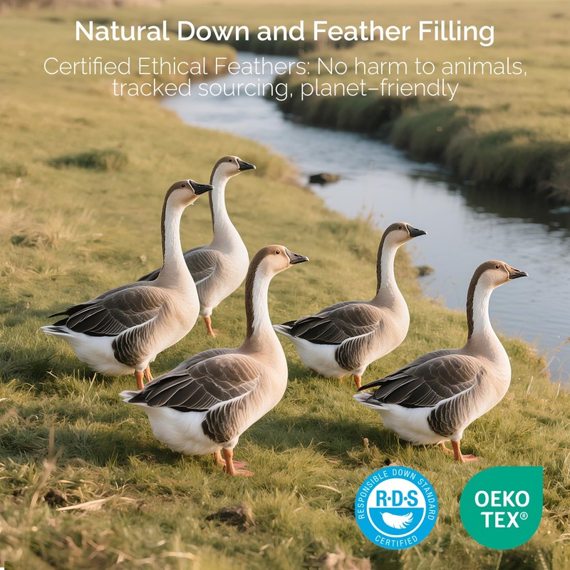 downluxe Goose Feather and Down Pillows - Hotel Collection Feather