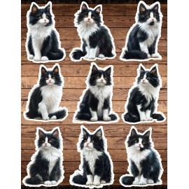 Unbranded Tuxedo Kitten Die Cut Vinyl Stickers Set Scrapbooking Laptop WaterBottle