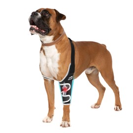 Furtent Dog Elbow Protector for Canine Elbow and Shoulder Support, Elbow Hygroma Dysplasia Dislocation, Reflective Dog Recovery Suit Taper Collar Alternative, Pet Wounds Prevent Licking, M