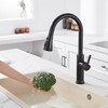 Kitchen Faucet Spray Head Replacement - Pull Down Faucet Sprayer