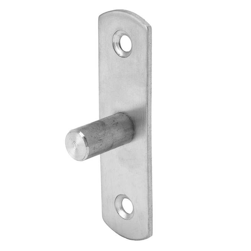 Door Swivel Hinge Stainless Steel Glass Doors Hinge Furniture Hardware
