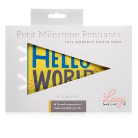 Lucy Darling Lucy Darling Petit Milestone Pennants, 12 Felt Baby Monthly Milestone Banners for Baby Girl & Boy, Newborn Photography Props & Decor, Felt Pennant Flags, Perfect Baby Shower Gifts (Little Kaleidoscope)