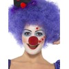 Smiffys Clown Make Up Kit