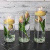 Eastland Glass Cylinder Vases 3 Pack. 7.5" | 9" |