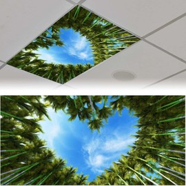 Dujupu 2Pcs luorescent Light Cover for Classroom, Magnetic Drop Ceiling Decorative Film Filter,Eliminate Harsh Glare Causing Eyestrain and Headaches,4 X 2 Feet