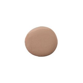 Tinted Moisturizer Infused with Vitamins A, C, & E (Touch of Radiance)