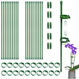 Pack of 20 Plant Supports, Orchid Sticks, Flower Holder, Plant Stabilising Rod, Equipped with Carabiners, Extension Tubes, for Orchids, Peonies, Climbing Plants (20 Pieces, 30 cm)