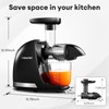 Cold Press Juicer Machines, AMZCHEF Slow Masticating Juicer with Reverse