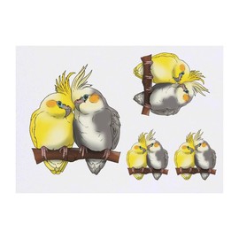 4 x 'Cockatiel Pair' Temporary Tattoos - Water Resistant, Skin-Safe, Non-Toxic Transfers, Mixed Sizes (TO00085010)