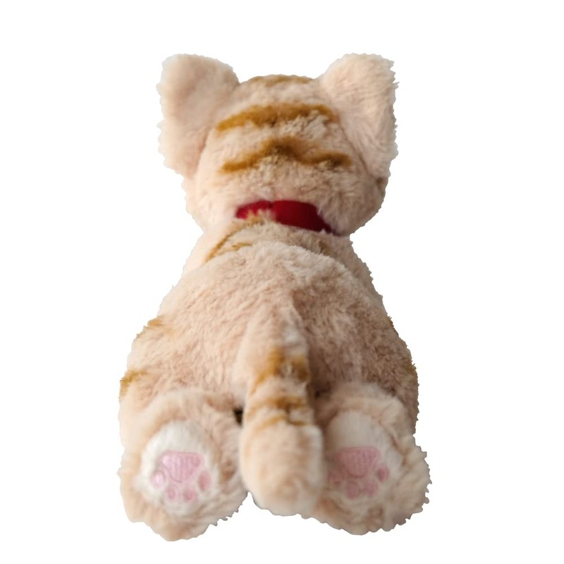 San Lemon Knee Cat SS BR P-8022