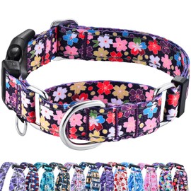Fidohug Reflective Martingale Collar for Dogs with Buckle Pretty Fancy Female Floral Dog Collars (Japanese Blossoms, Medium)