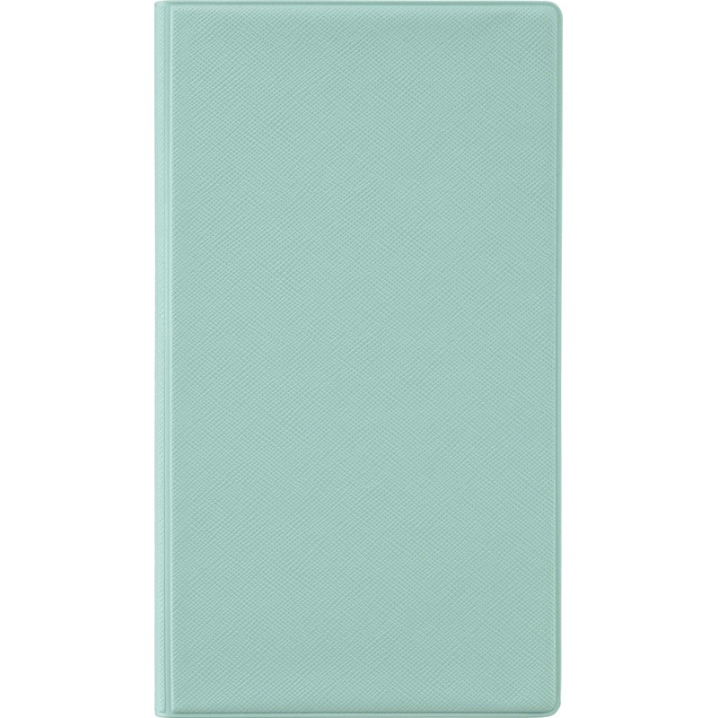 ライオン事務器 ファンデス グッズ用ケース GC-3 ライトグリーン