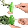 Yharnamite 3 Pcs Herb Scissors, 5 Stainless Steel Blade with