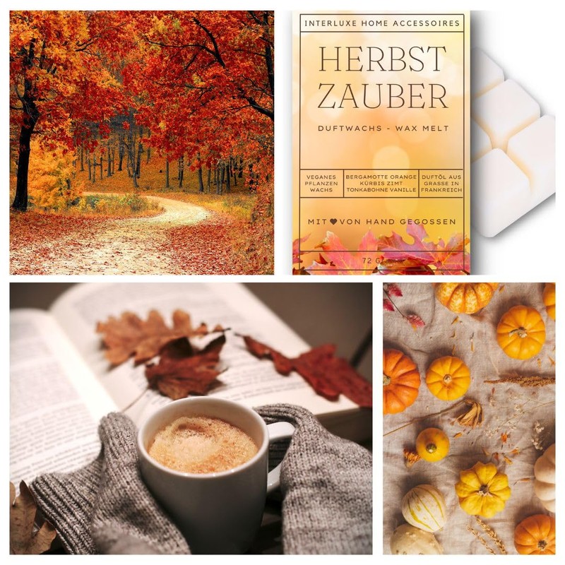 Interluxe Scented Wax Set of 3 – Cuddly with Autumn