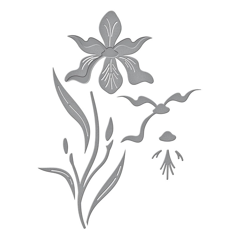 Spellbinders Layered Iris Etched Dies, Metal