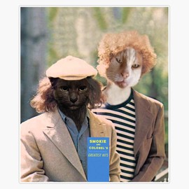 Cat Simon And Garfunkle Waterproof Vinyl Window Bumper Sticker Decal 5"