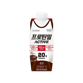 프로틴밀 액티브 초코 250ml x 54팩 Protein Meal Active Choco 250ml x 54 Packs