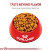 Royal Canin Dachshund Adult Breed Specific Dry Dog Food, 2.5