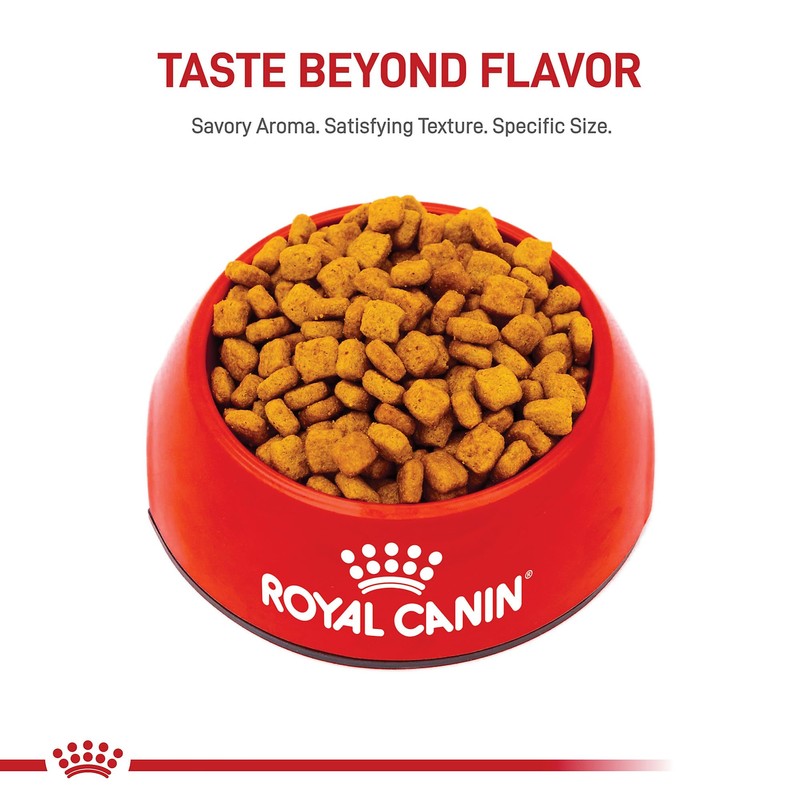 Royal Canin Dachshund Adult Breed Specific Dry Dog Food, 2.5