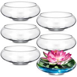 Baderke 6 Pcs Hydroponic Planter Lotus Flower Pot Planter Lotus Bowl Clear Glass Fish Bowl Vase for Planting Indoor Home Decor Water Lily Narcissus Planting Water Lily