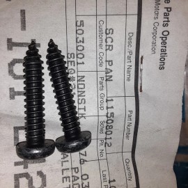 GM 2 NEW GENUINE GM 11508919 Bolts Screws, Front License Bracket FREE SHIPPING A5