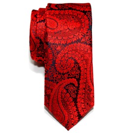 Retreez Paisley Art Pattern Woven Microfiber Skinny Tie - Red on Navy Blue