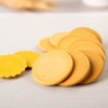 Silicone Mesh Baking Mat Non Stick Oven Sheet Bakery Tool