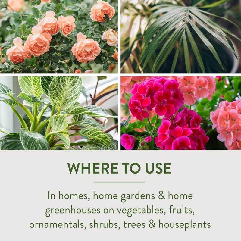 Garden Safe Brand Multi-Purpose Garden Insect Killer2, 32 Fluid Ounces,