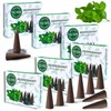 Peppermint Incense Cones - Total 60 Cone Incense - Six
